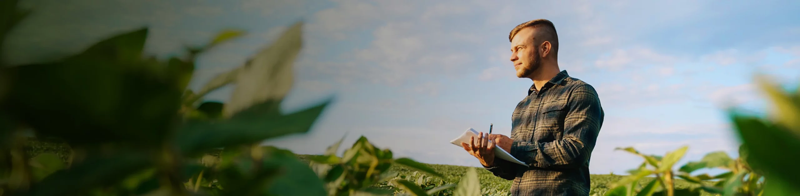 Homem analisando plantação representando o Agrymetric, seguro paramétrico agroclimático.