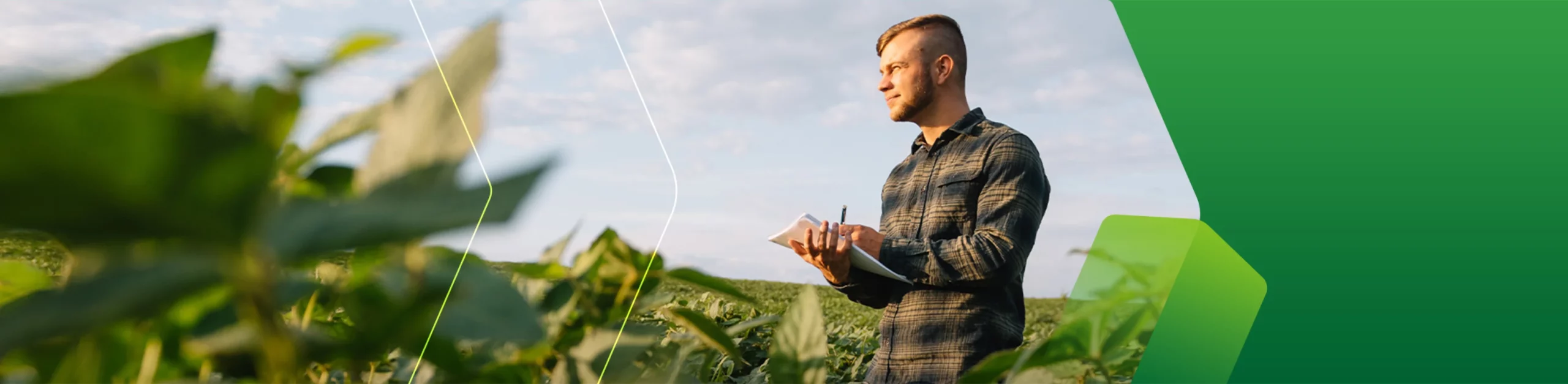 Homem analisando plantação representando o Agrymetric, seguro paramétrico agroclimático.