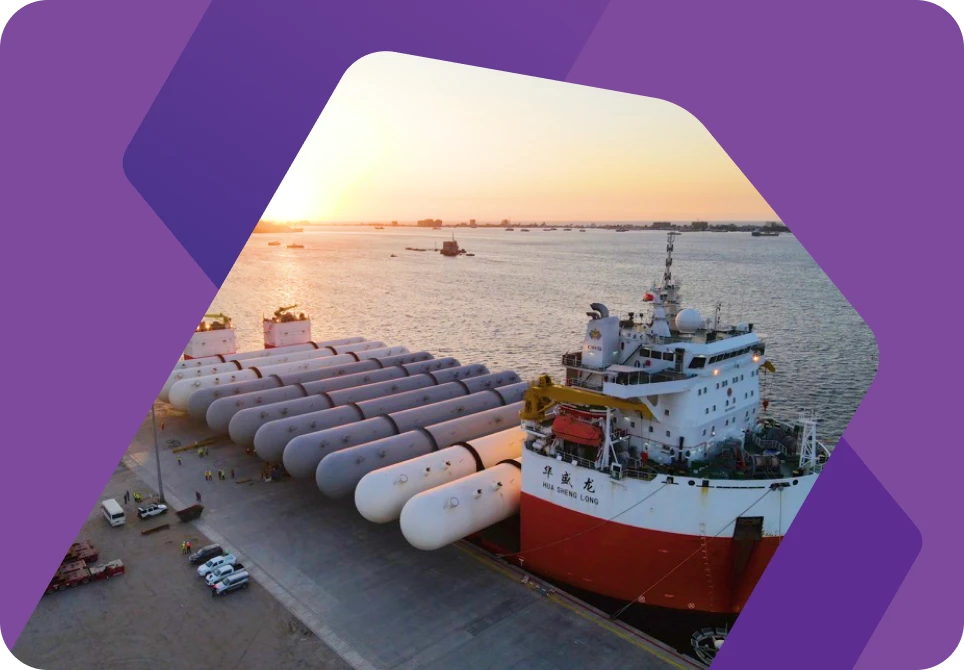 Efficiency in Policy Placement for an Innovative Energy Sector Project